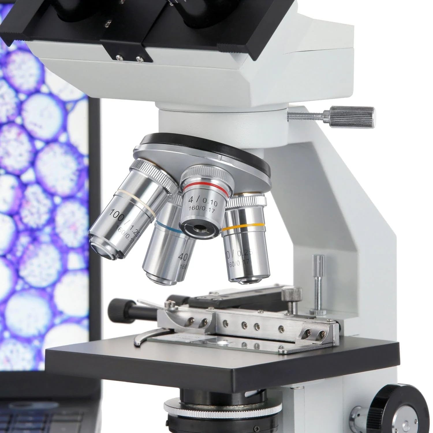 AmScope メカニカルステージと40X-2000X双眼生物顕微鏡 Amazon.co.jp: AmScope メカニカルステージと40X-2000X双眼生物